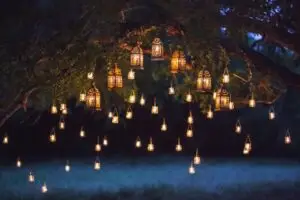 warm white lights hanging from tree