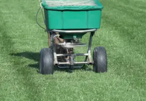 granular fertilizer being spread on a lawn