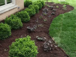fresh brown mulch laid in landscape bed