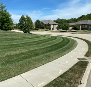 Lawn care stripes in a lawn right after being mowed