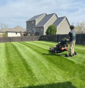 employee on lawn mower cutting grass