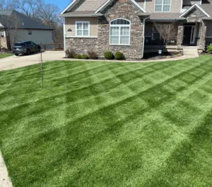stripes from a fresh mow with a commercial mower