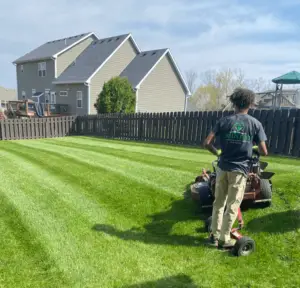 employee on lawn mower cutting grass