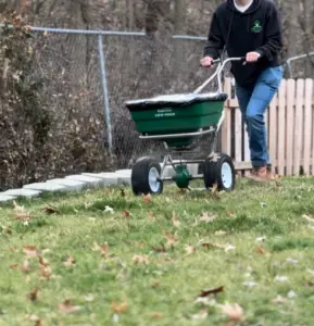 employee spreading granular fertilizer