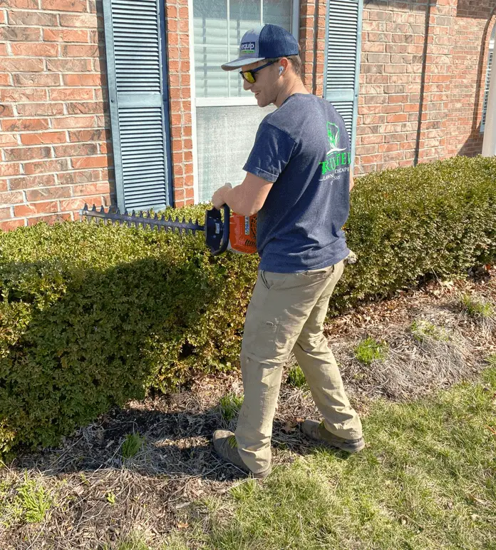 employee trimming shrubs with hedge trimmer